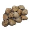 almeja japonica mariscos gallego