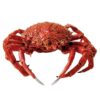 centolla gallega