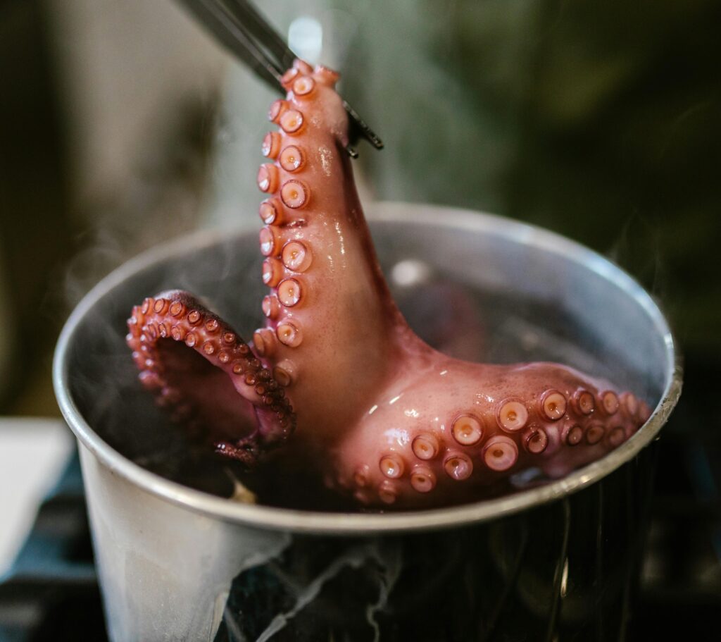 Pulpo Gallego cociéndose