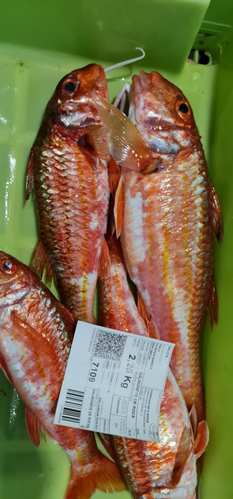 Pescado fresco de venta online