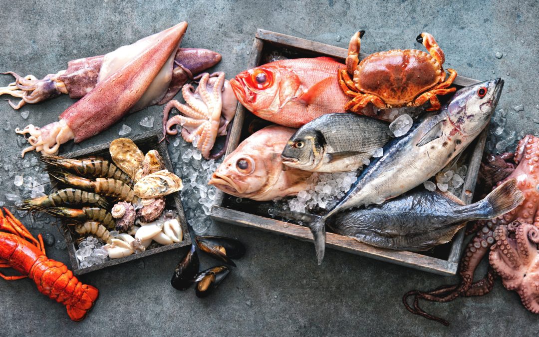 20 tipos de Mariscos Gallegos. Descubre las mejores opciones de los productos del mar más codiciados