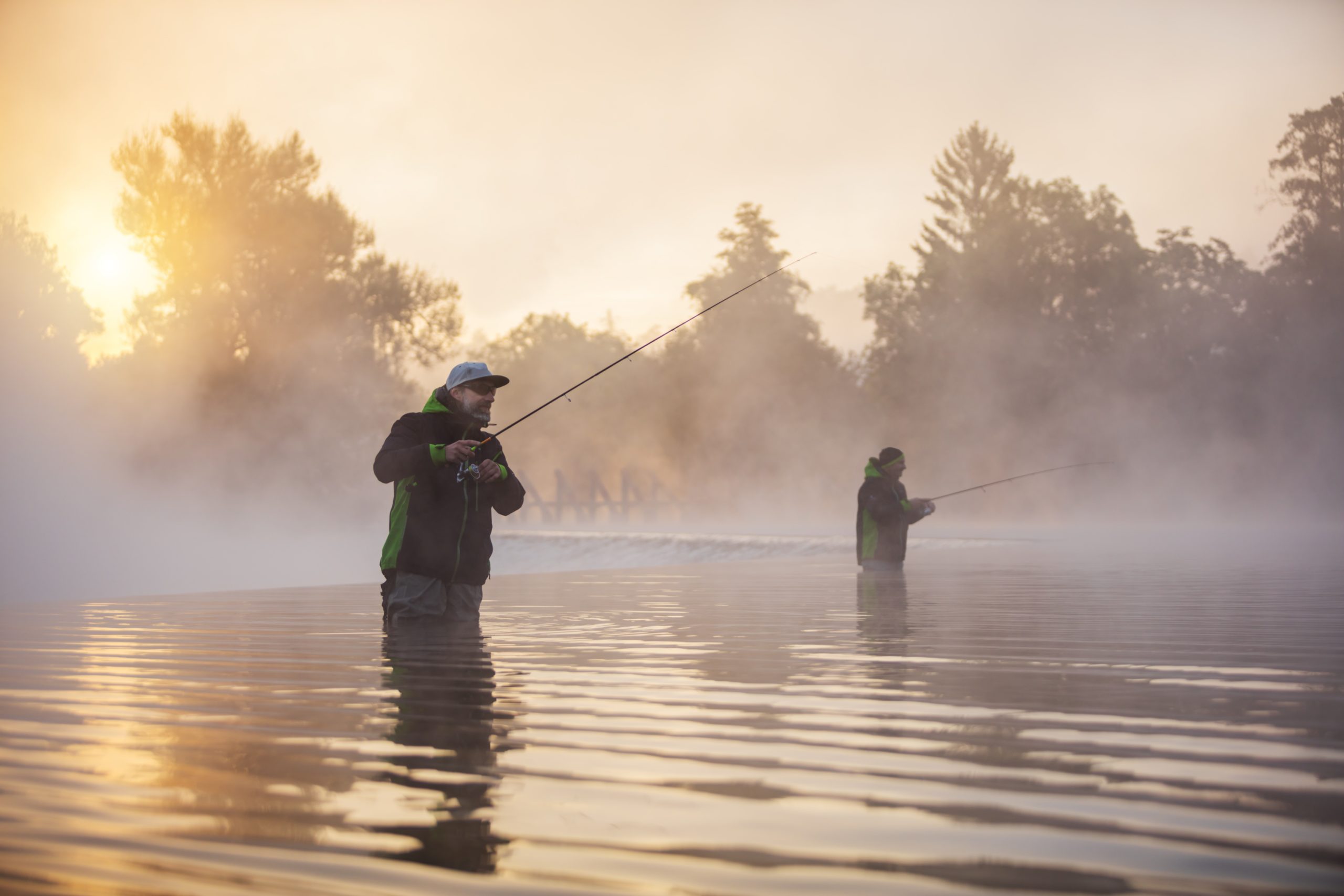 Pesca con niebla